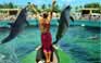 Miami Seaquarium