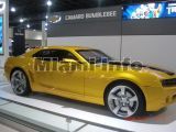 fort lauderdale auto show