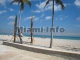 beach of south beach