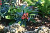 Fairchild Tropical Garden