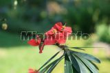 Fairchild Tropical Garden