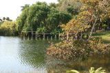 Fairchild Tropical Garden