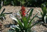 Fairchild Tropical Garden