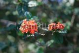 Fairchild Tropical Garden