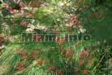 Fairchild Tropical Garden