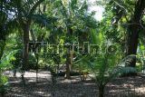 Fairchild Tropical Garden