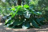 Fairchild Tropical Garden