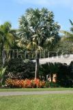 Fairchild Tropical Garden