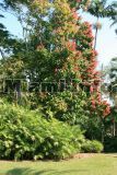 Fairchild Tropical Garden