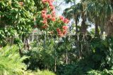 Fairchild Tropical Garden