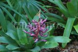 Fairchild Tropical Garden