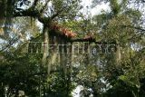Fairchild Tropical Garden