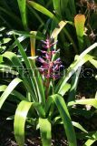 Fairchild Tropical Garden
