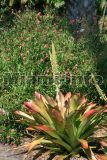 Fairchild Tropical Garden