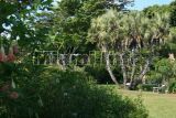 Fairchild Tropical Garden