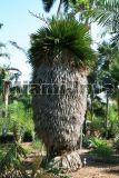 Fairchild Tropical Garden