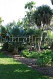 Fairchild Tropical Garden