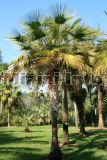 Fairchild Tropical Garden