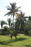 Fairchild Tropical Garden