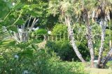 Fairchild Tropical Garden