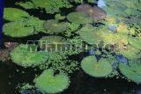 Fairchild Tropical Garden