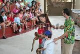 parrot jungle