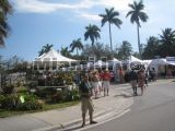 2009 Coconut Grove Fair