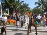 2009 Coconut Grove Fair