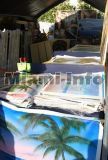 Coconut Grove Arts Festival