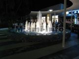 nightlife