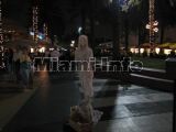 nightlife